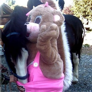 A person in a bear costume hugs a black-and-white horse outdoors on a gravel path.