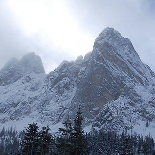 Snow-covered mountain peaks with scattered pine trees in the foreground under a cloudy sky.