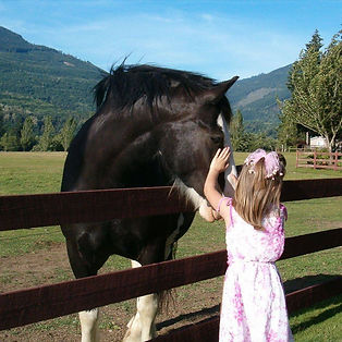 A young girl in a pink dress pets a large black horse over a wooden fence in a rural area with mountains in the background.