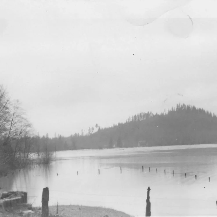Black and white photo of a calm lake with partially submerged fence posts and a tree-lined hill in the background.