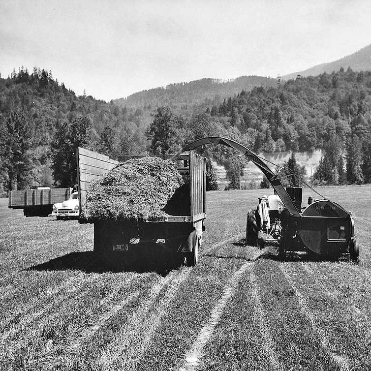 A tractor harvests and loads crops into a trailer in a field with hills and trees in the background.