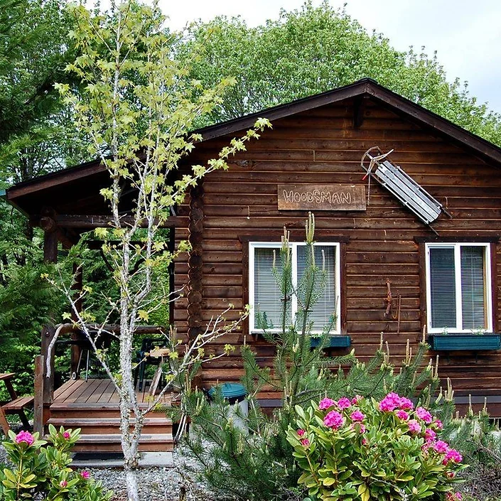 A wooden cabin with a porch, surrounded by green trees and pink flowering shrubs, with a sled mounted above the door.