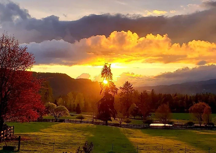 Sunset over a rural landscape with trees, a small pond, and fields under a partly cloudy sky.