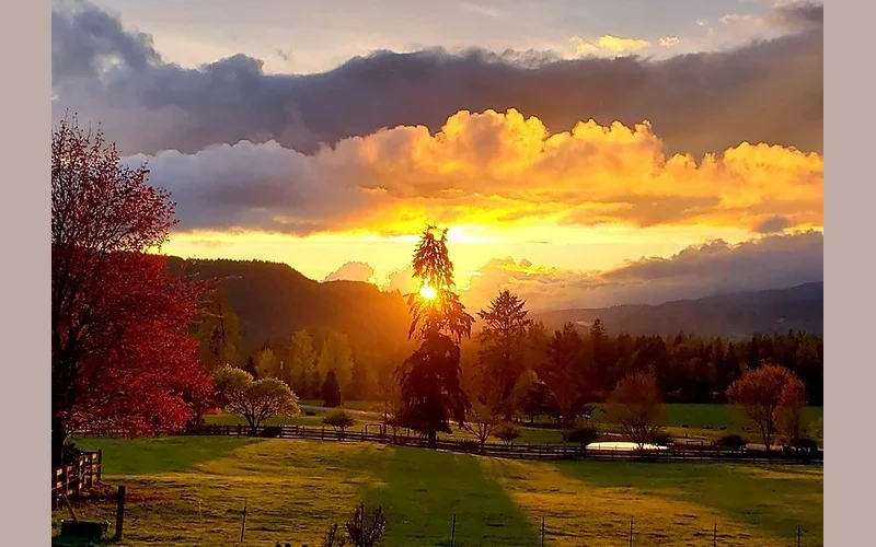 Sunset over a rural landscape with trees, a small pond, and fields under a partly cloudy sky.